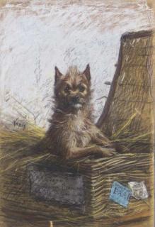 Ludovic Napoleon Vincent Lepic - Jack