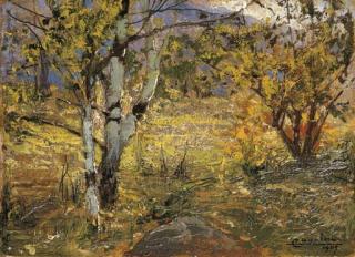 Ludovico Cavaleri - Campagna