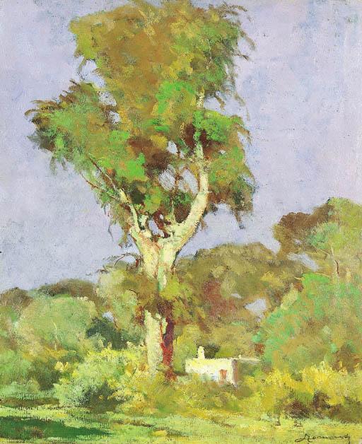 Ludovico Tommasi - Campagna livornese