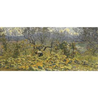 Ludovico Tommasi - Nell\'Uliveto