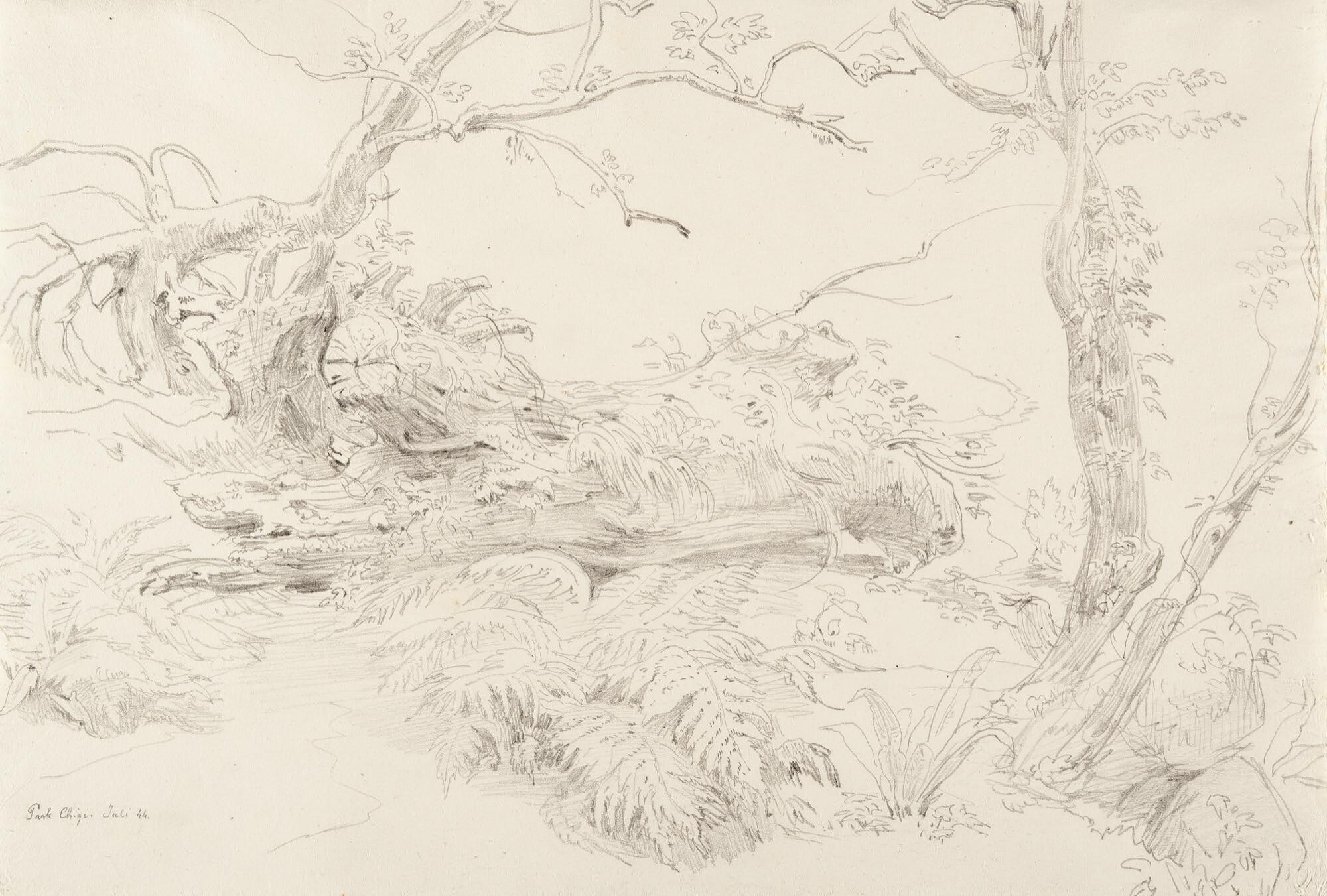 Ludwig Deurer - Im Parco Chigi