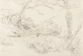 Ludwig Deurer - Im Parco Chigi