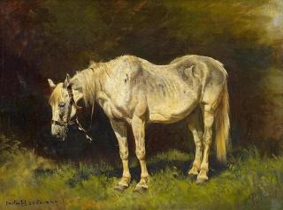 Ludwig Hartmann - Schimmel auf der Weide