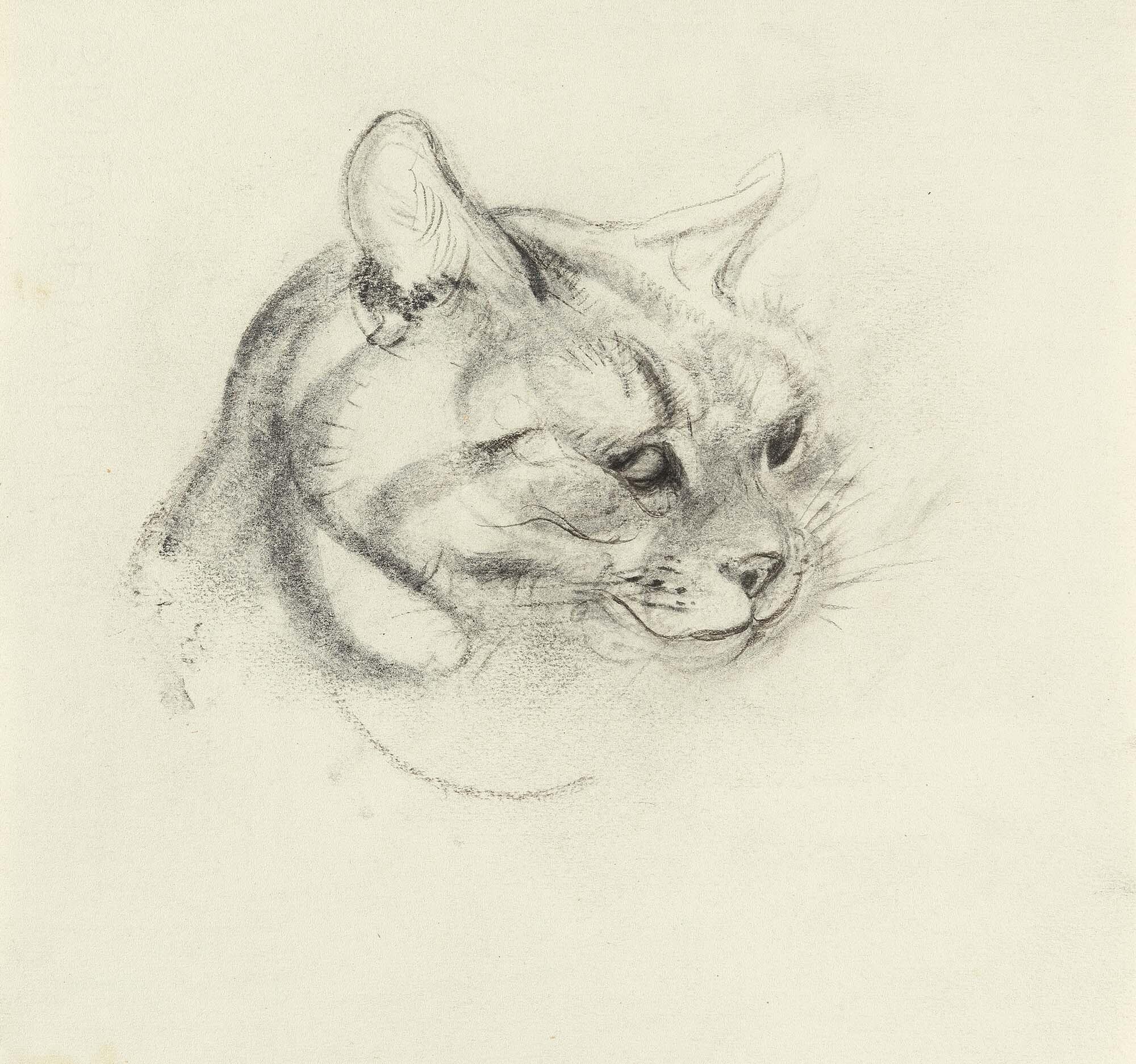 Ludwig Heinrich Jungnickel - Katzenkopf.