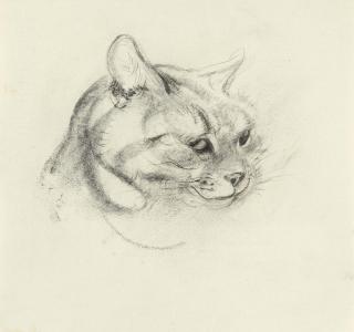 Ludwig Heinrich Jungnickel - Katzenkopf.