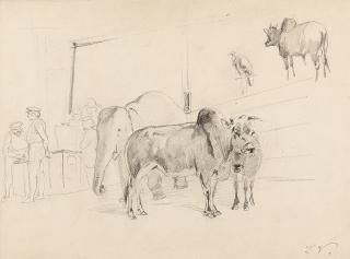 Ludwig Voltz - In der Menagerie.