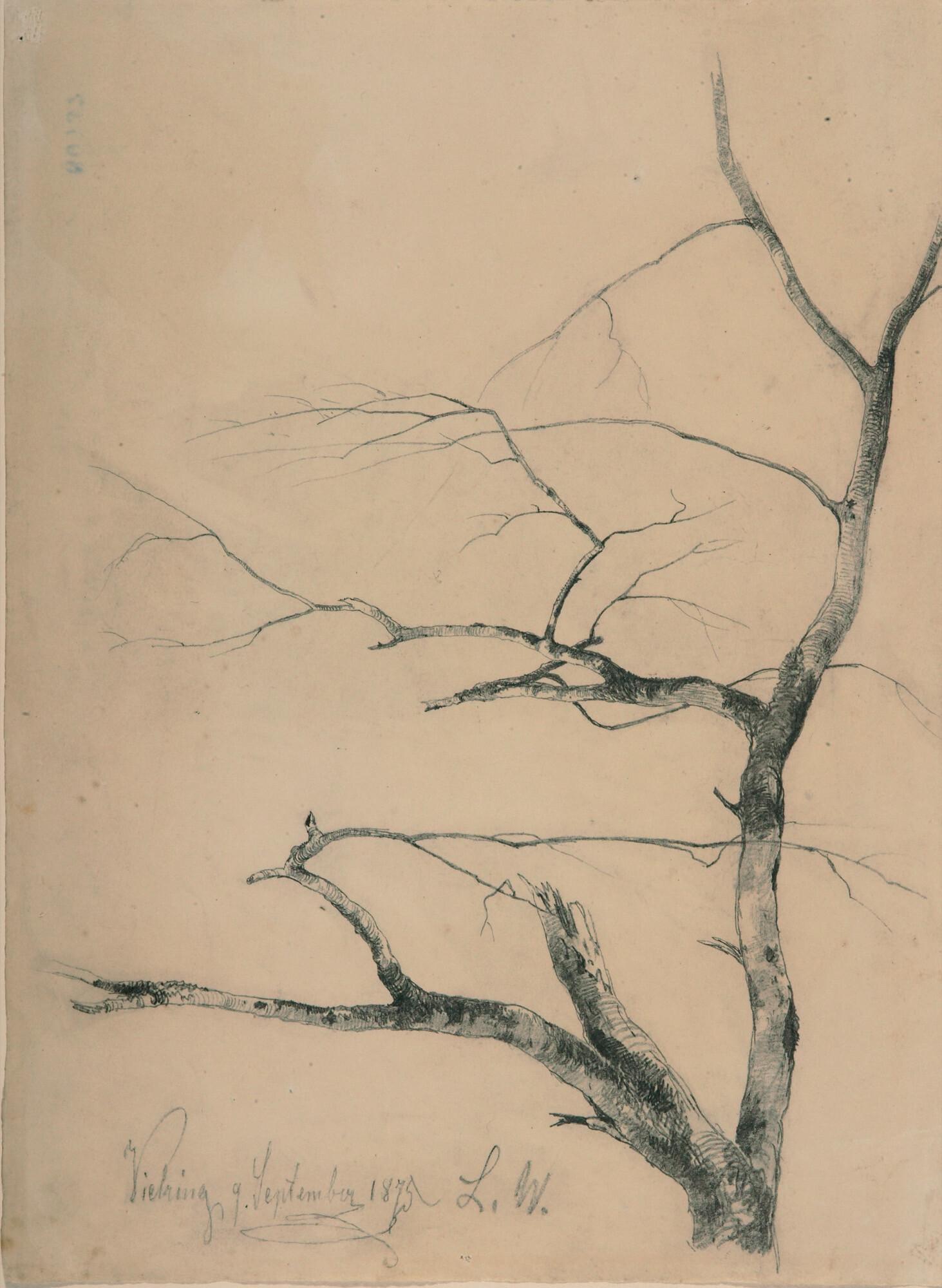 Ludwig Willroider - 2 Bll.: Baumstudien.