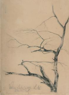 Ludwig Willroider - 2 Bll.: Baumstudien.