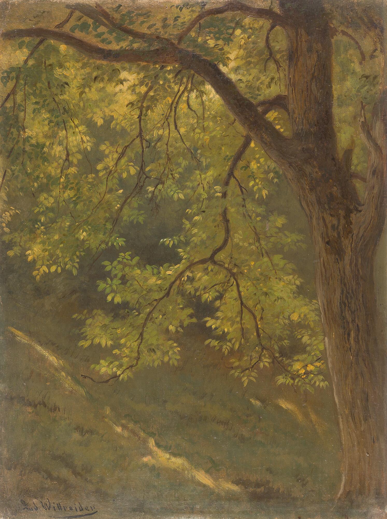 Ludwig Willroider - Baumstück