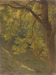 Ludwig Willroider - Baumstück