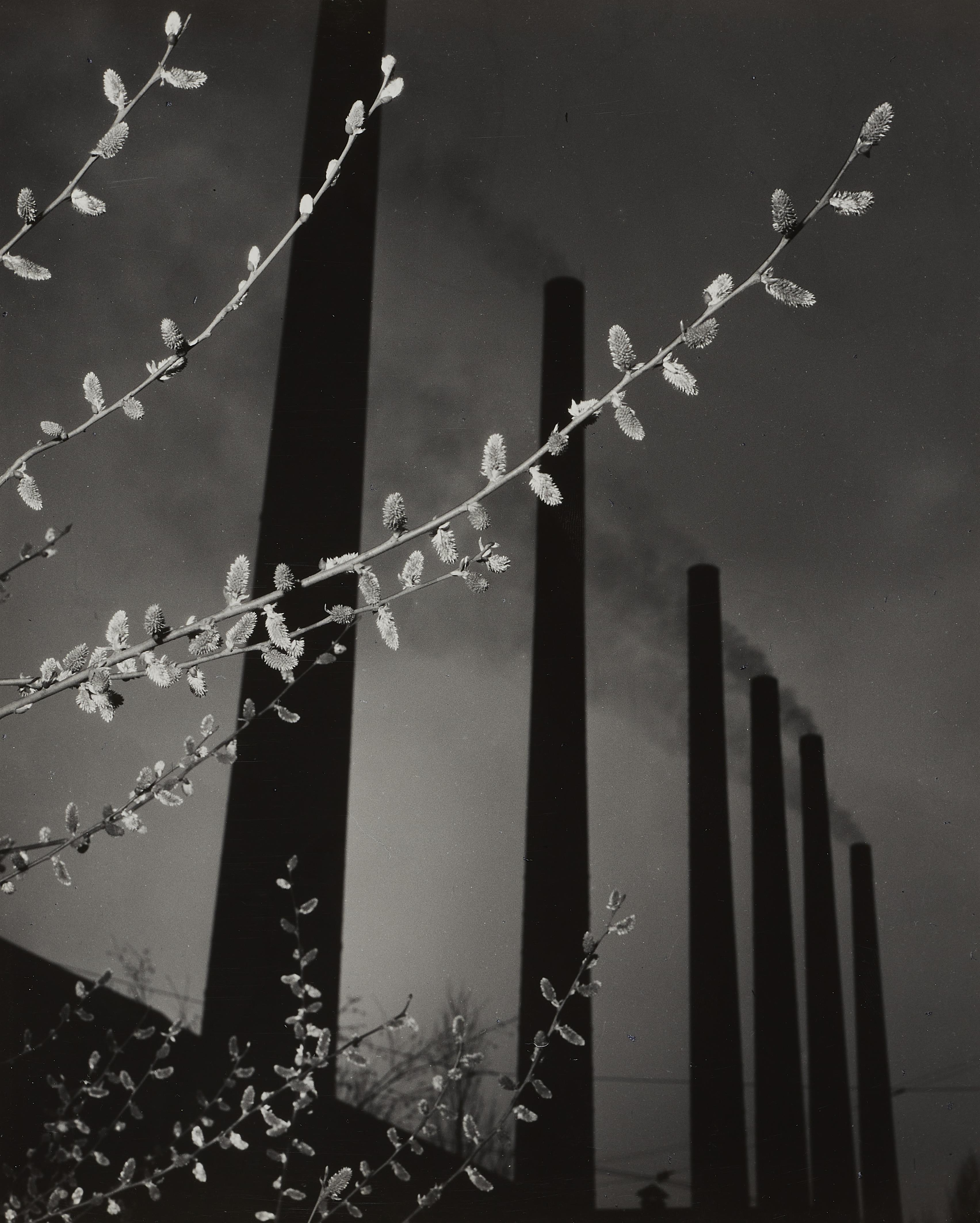 Ludwig Windstosser - Ohne Titel