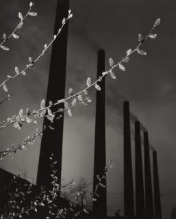 Ludwig Windstosser - Ohne Titel