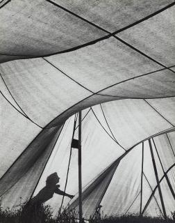 Ludwig Windstosser - Zelt (aus der Serie: Menschen)