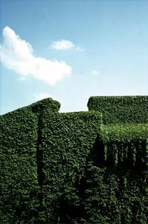 Luigi Ghirri - »Ferrara« (aus: da Topografia - Iconografia)