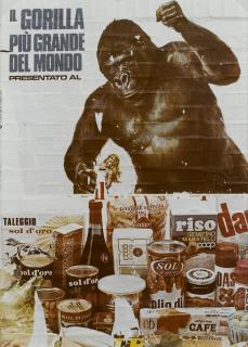 Luigi Ghirri - Moderna, 1974 (\'Serie Kadachrome\')