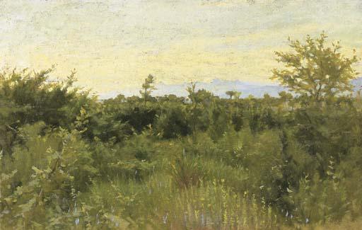Luigi Gioli - Bosco a Fauglia, 1892