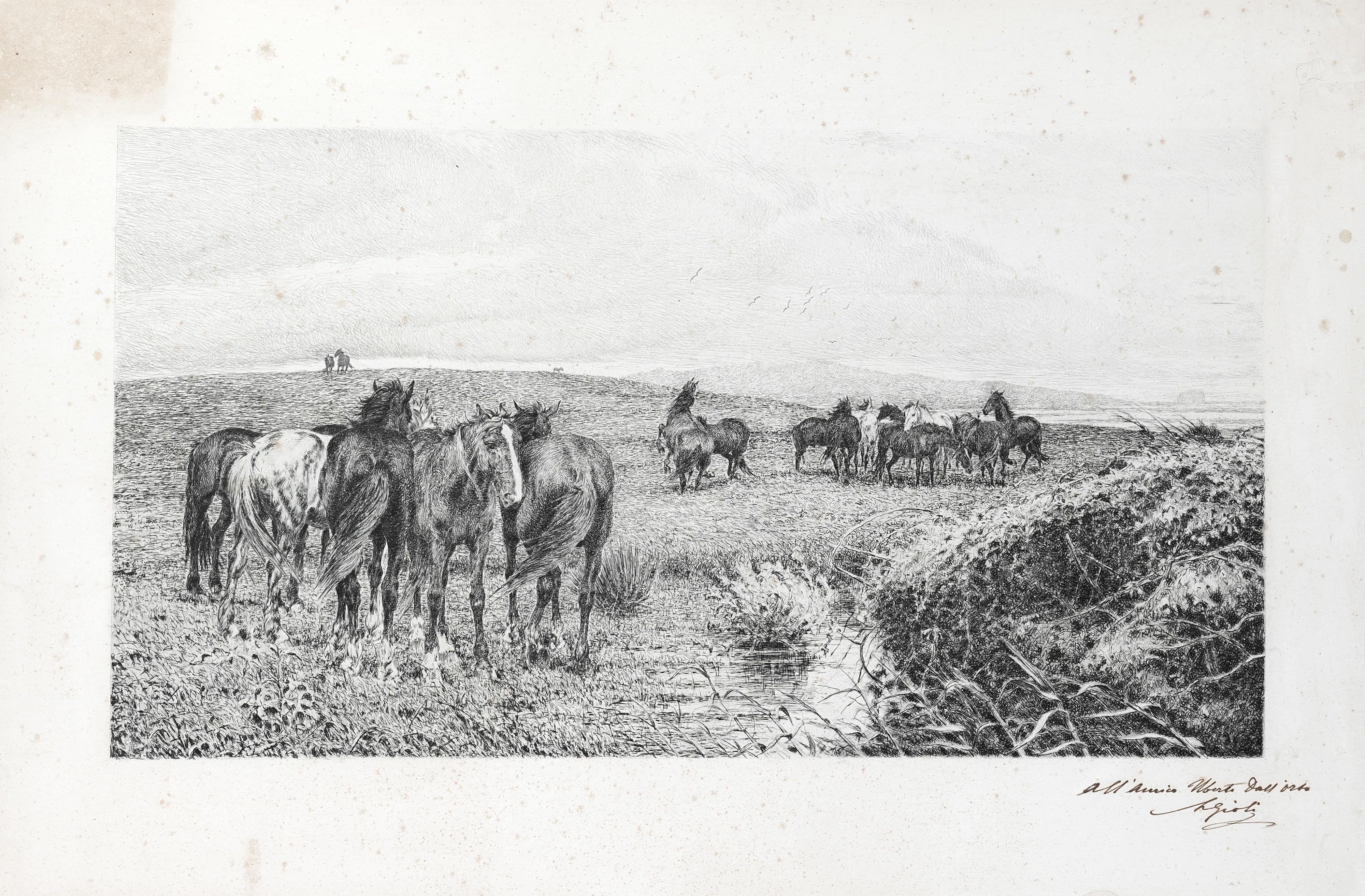 Luigi Gioli - Cavalli al pascolo