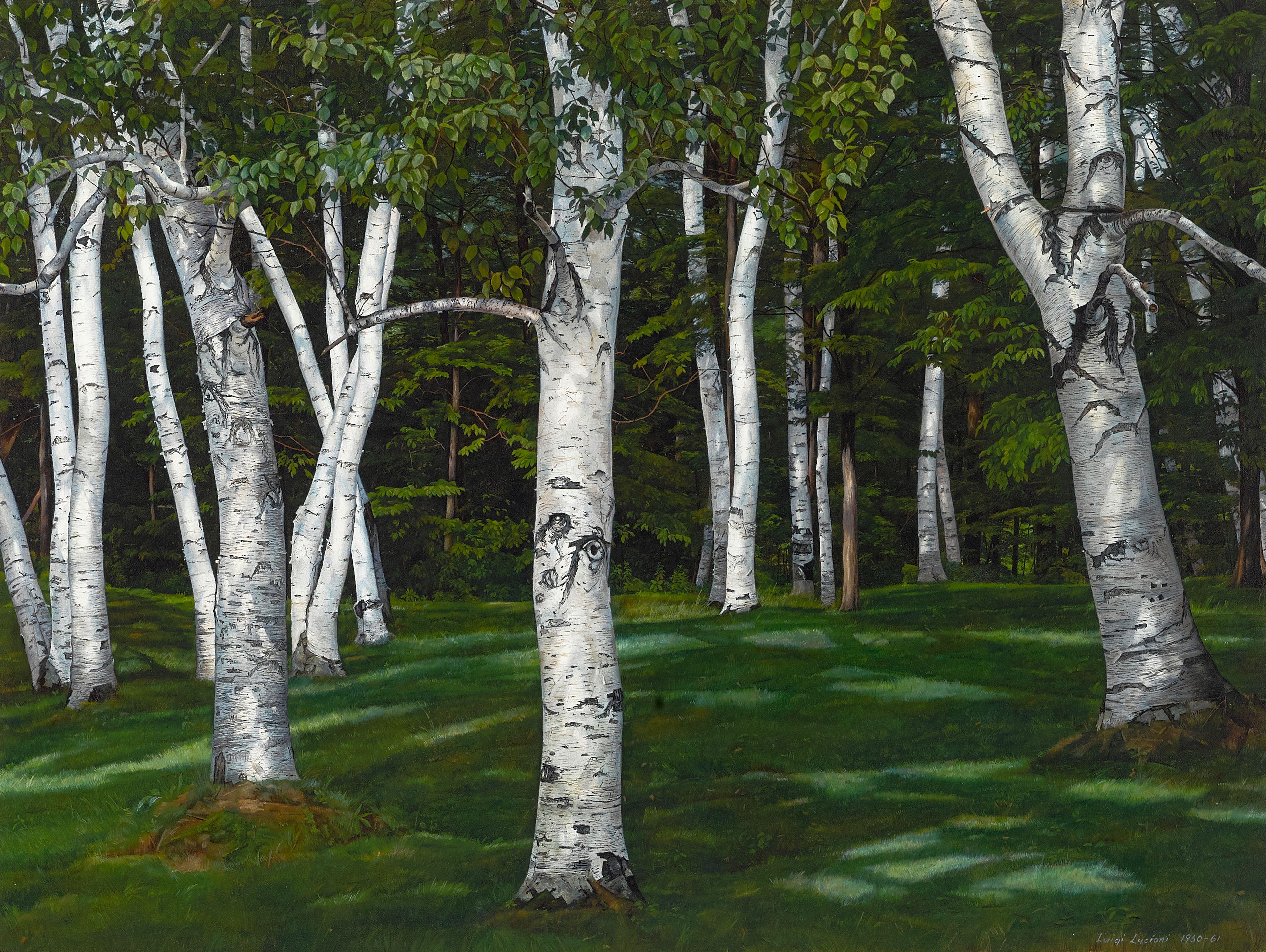 Luigi Lucioni - The Birches