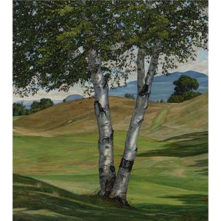 Luigi Lucioni - The Solitary Birch