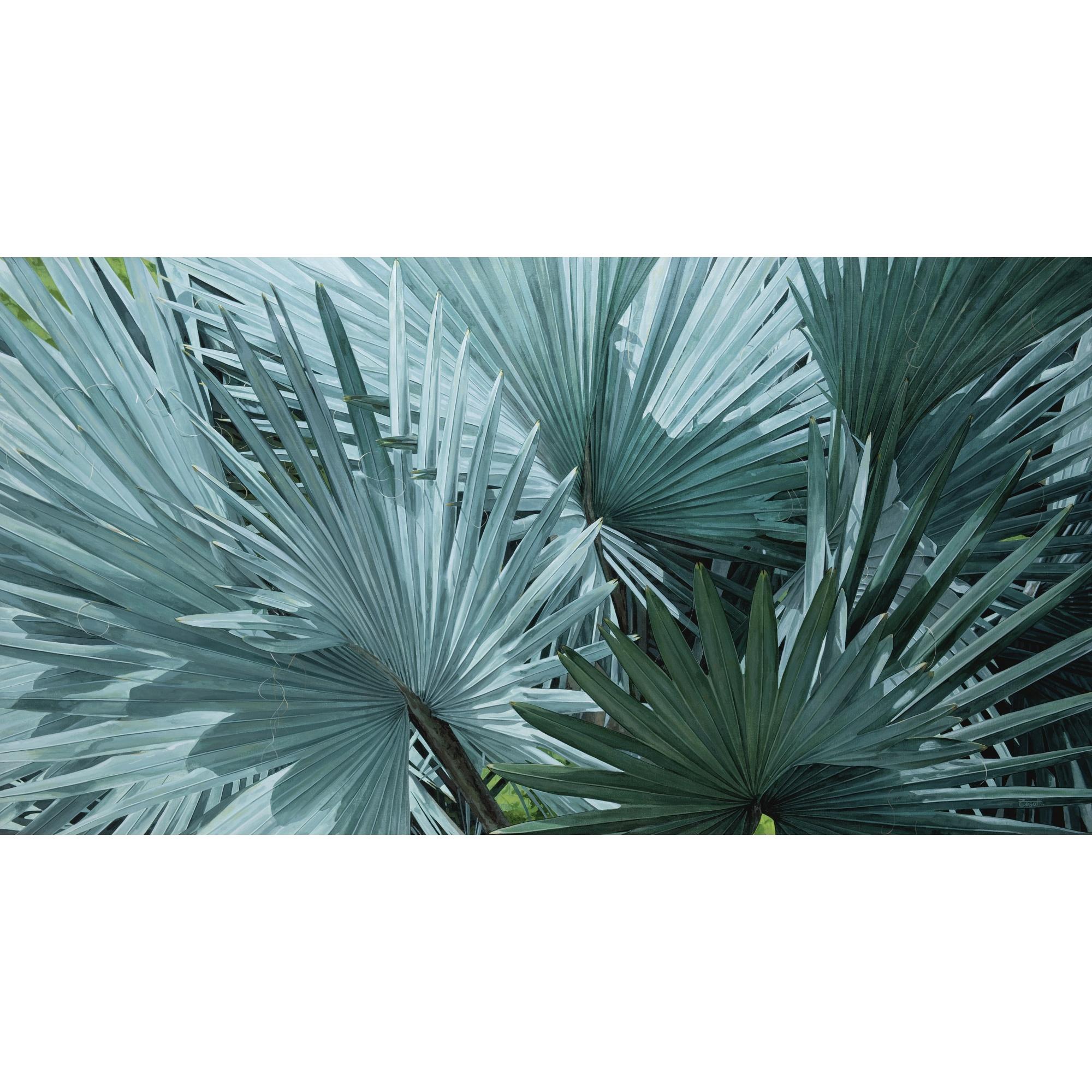 Luis Armando Zesatti - Abanicos