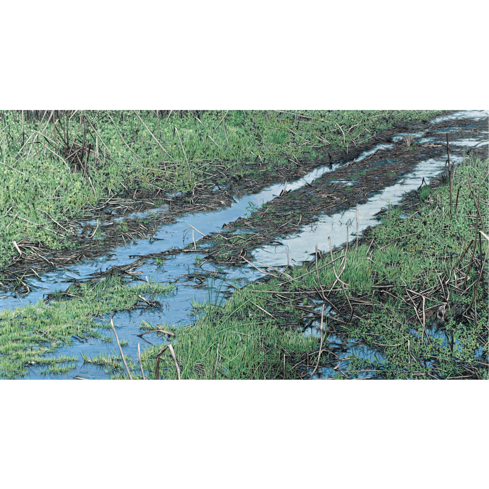 Luis Armando Zesatti - Camino Al Cielo