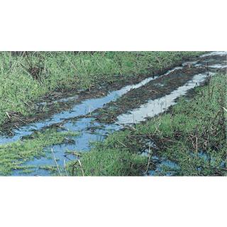 Luis Armando Zesatti - Camino Al Cielo