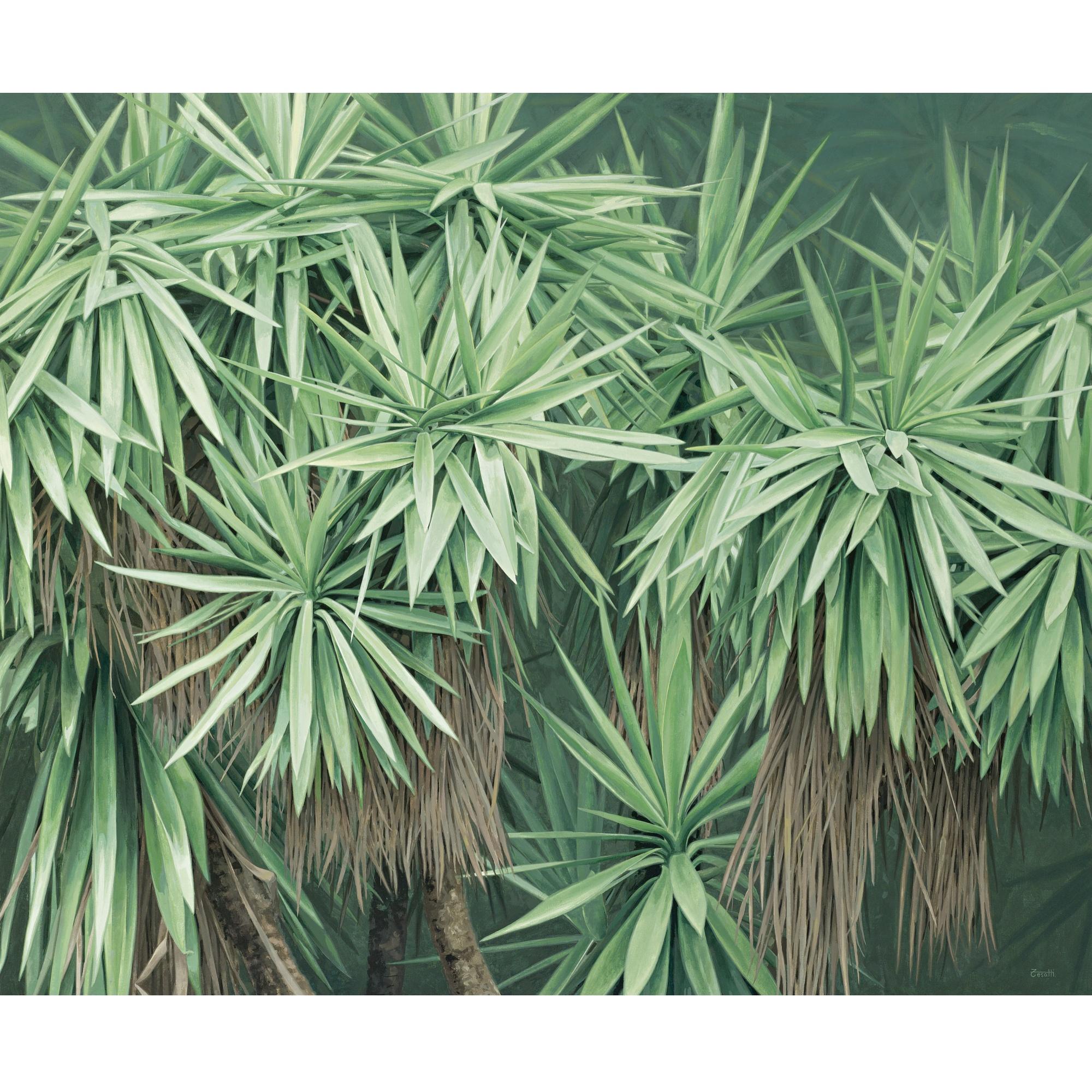 Luis Armando Zesatti - Constelaciones