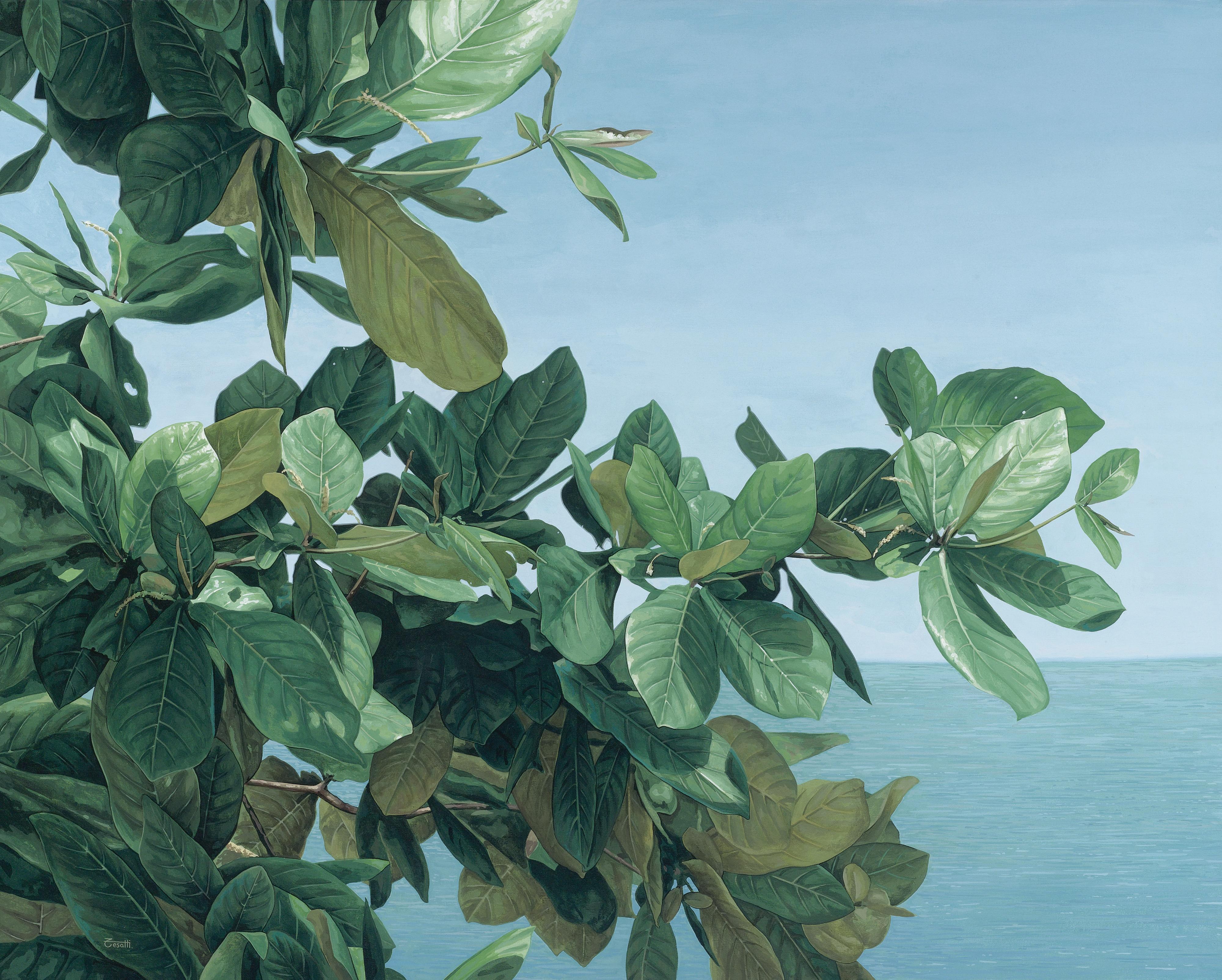 Luis Armando Zesatti - El Descanso