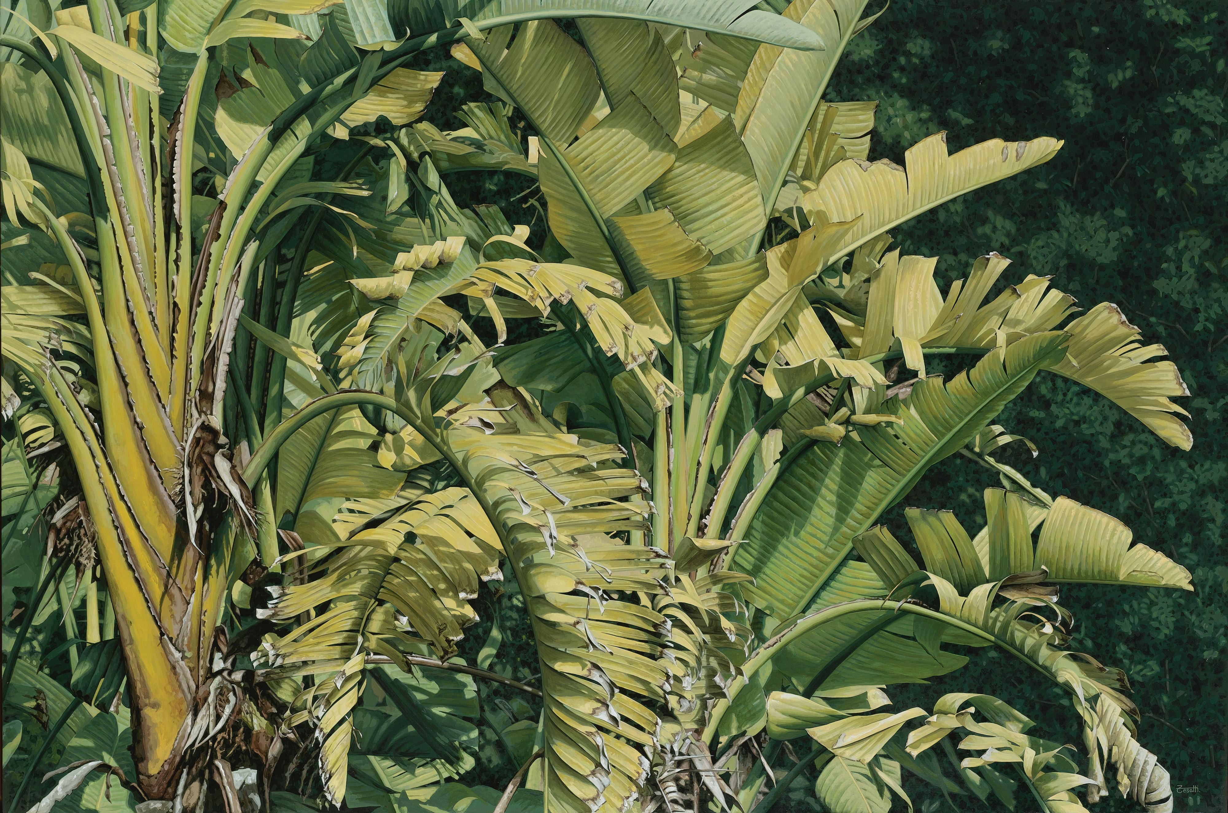 Luis Armando Zesatti - Jardines De La Reina