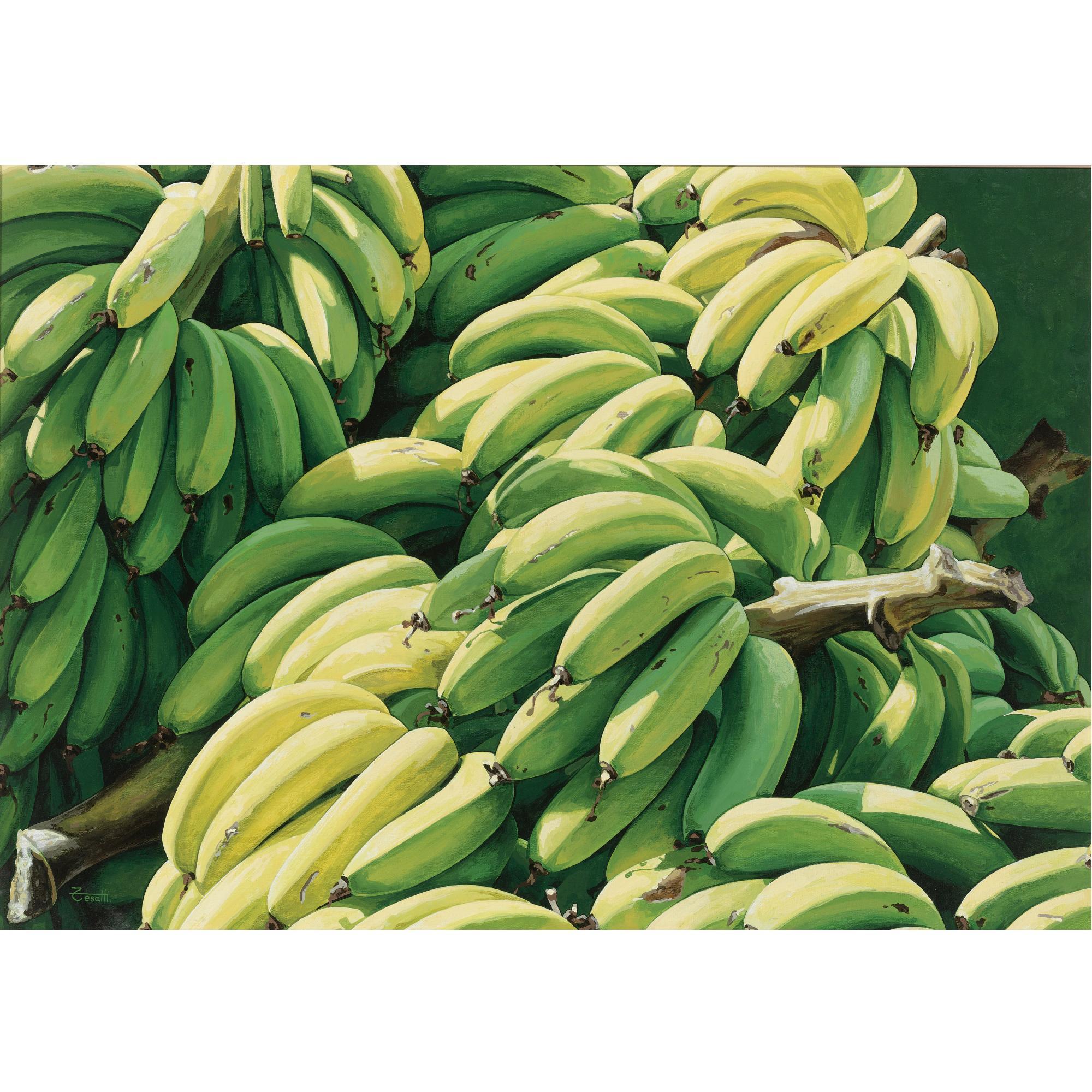 Luis Armando Zesatti - Plátanos