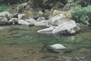 Luis Armando Zesatti - Quetzalapan