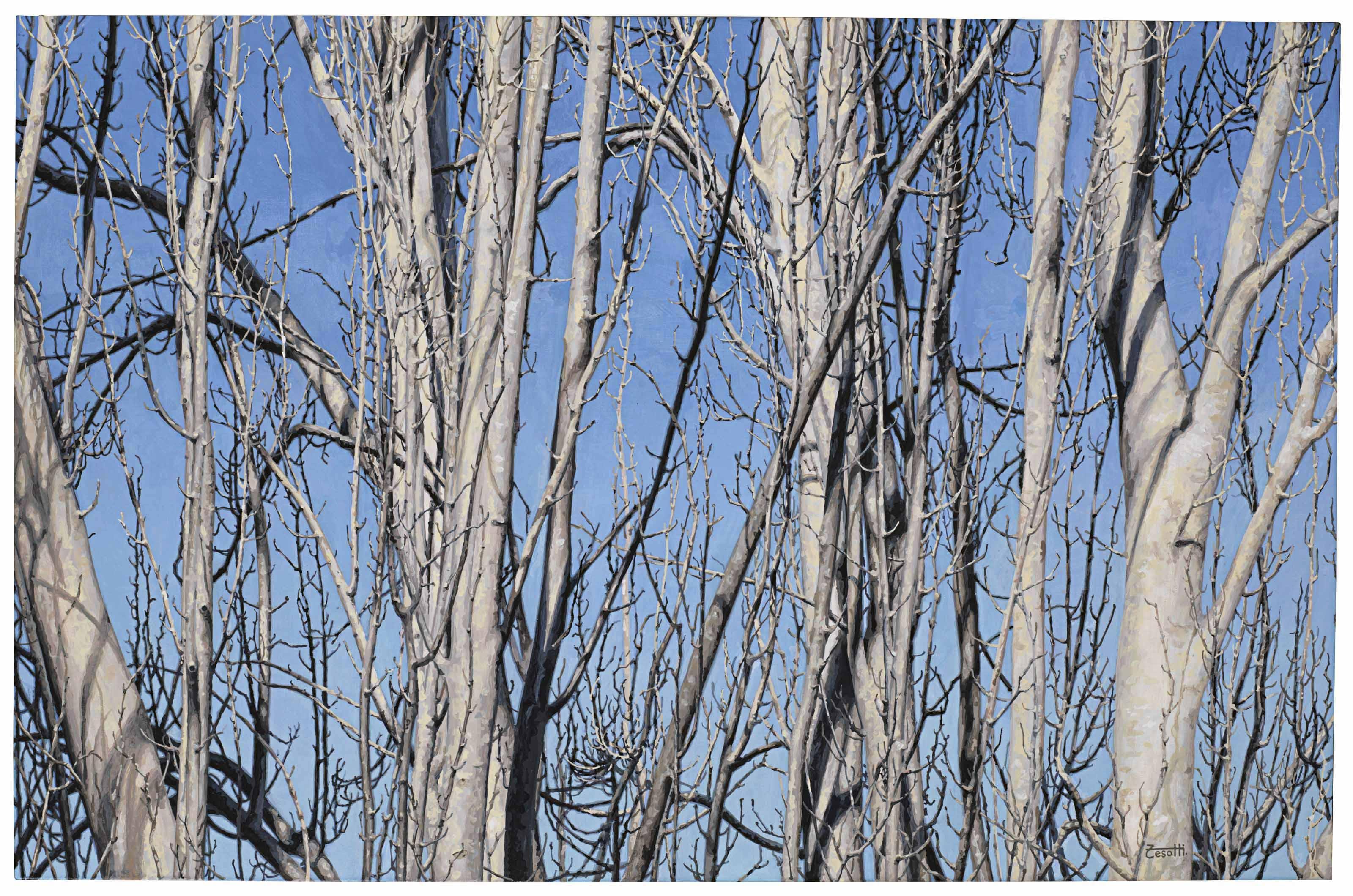 Luis Armando Zesatti - Sin hojas