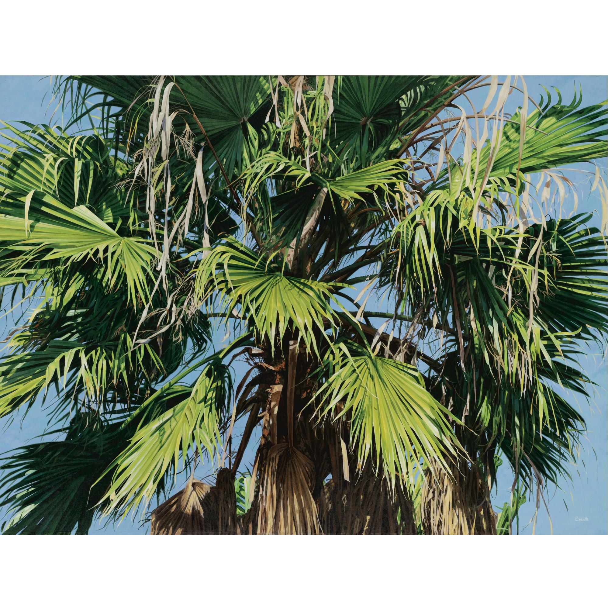 Luis Armando Zesatti - Trópico Ii (Verde Vientos)