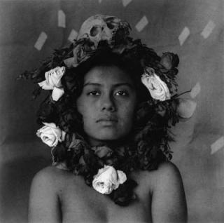 Luis González Palma - La Rosa