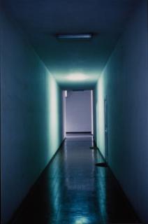 Luisa Lambri - Senza Titolo (Ritratti)