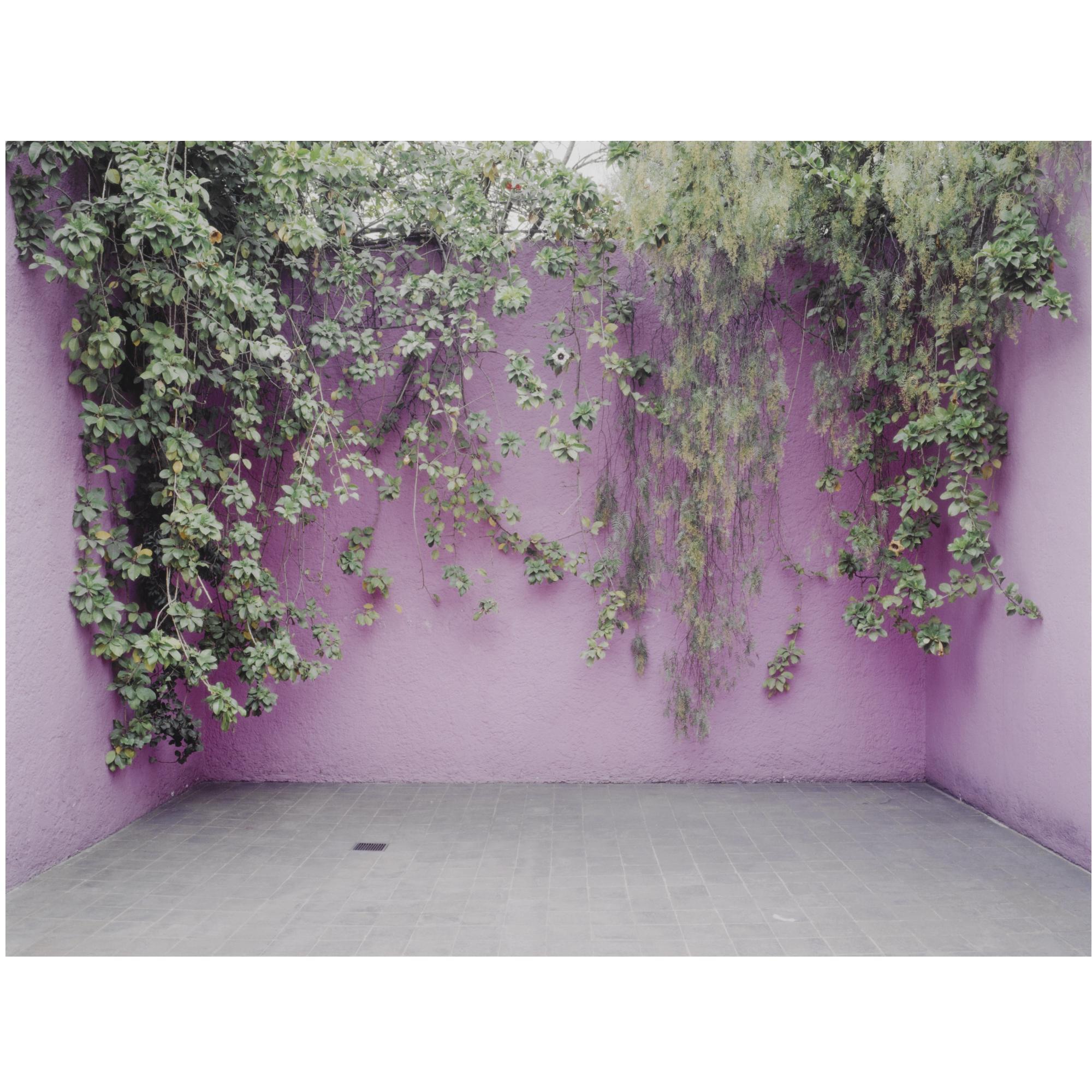 Luisa Lambri - Untitled (Barragan House #03A), 2005