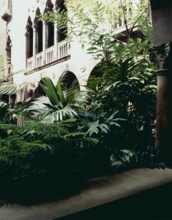 Luisa Lambri - Untitled (Isabella Stewart Gardner Museum #23)