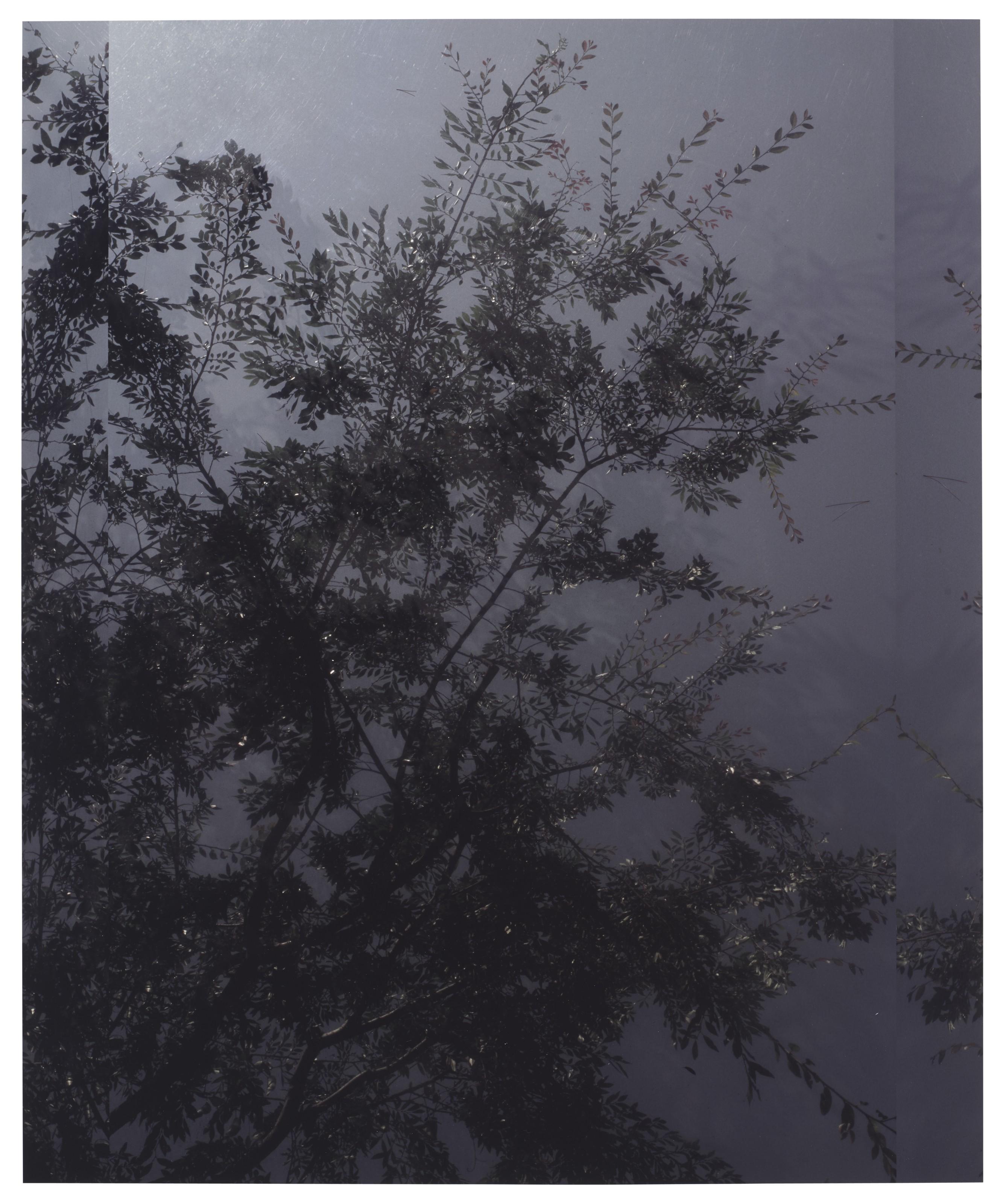 Luisa Lambri - Untitled (Sheats-Goldstein House, #37), 2007