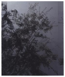 Luisa Lambri - Untitled (Sheats-Goldstein House, #37), 2007