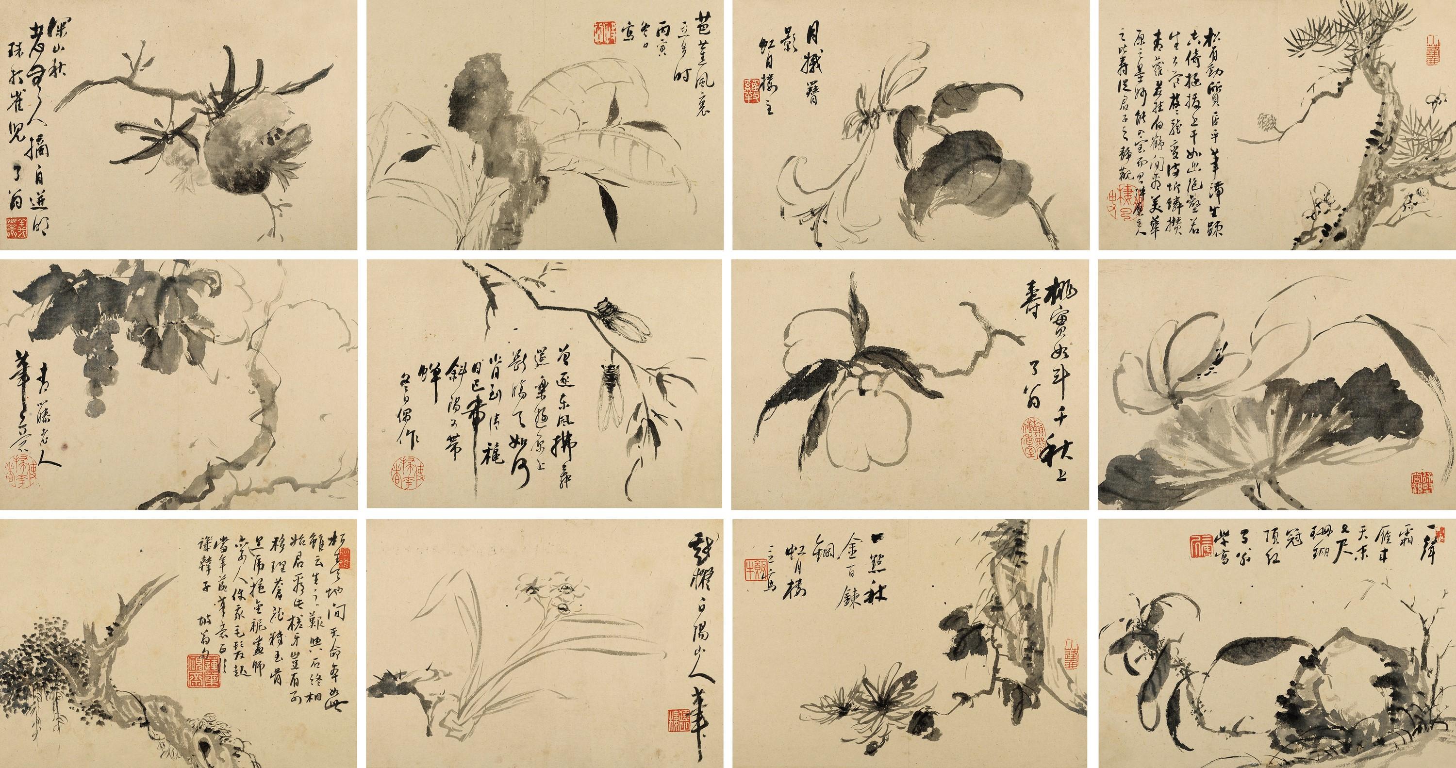 Luo Mu - Flora， Fruit And Trees