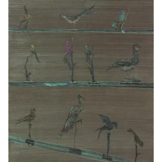 Luo Quanmu - Birds - Forest