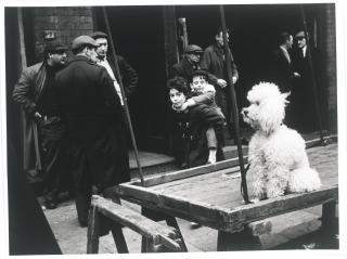 Lutz Dille - Untitled (Poodle), London, 1962 Untitled (Sandwich Board, Furs), London, 1962