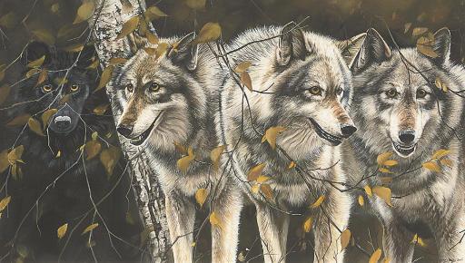 Lyndsey Selley - Four wolves