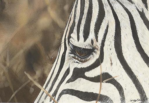 Lyndsey Selley - White and black stripes