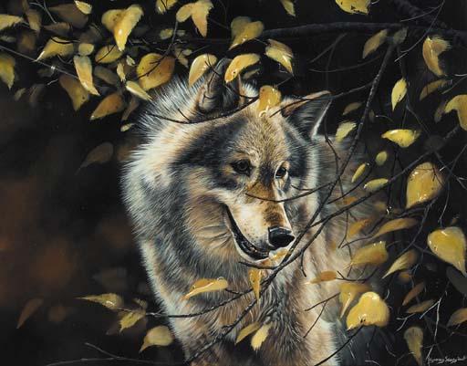 Lyndsey Selley - Wolf