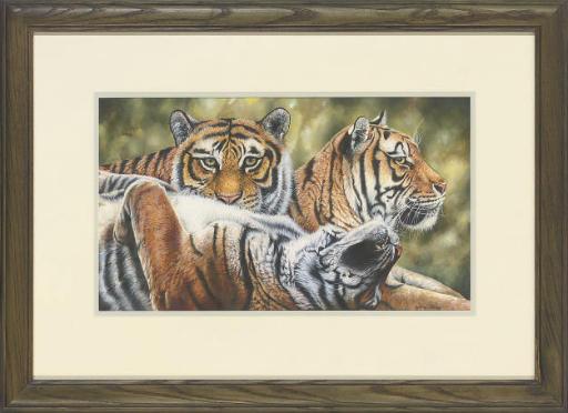 Lyndsey Selley - Young tigers