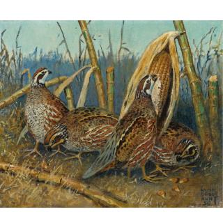 Lynn Bogue Hunt - American In The Corn Stabble-Quail (Two Works)
