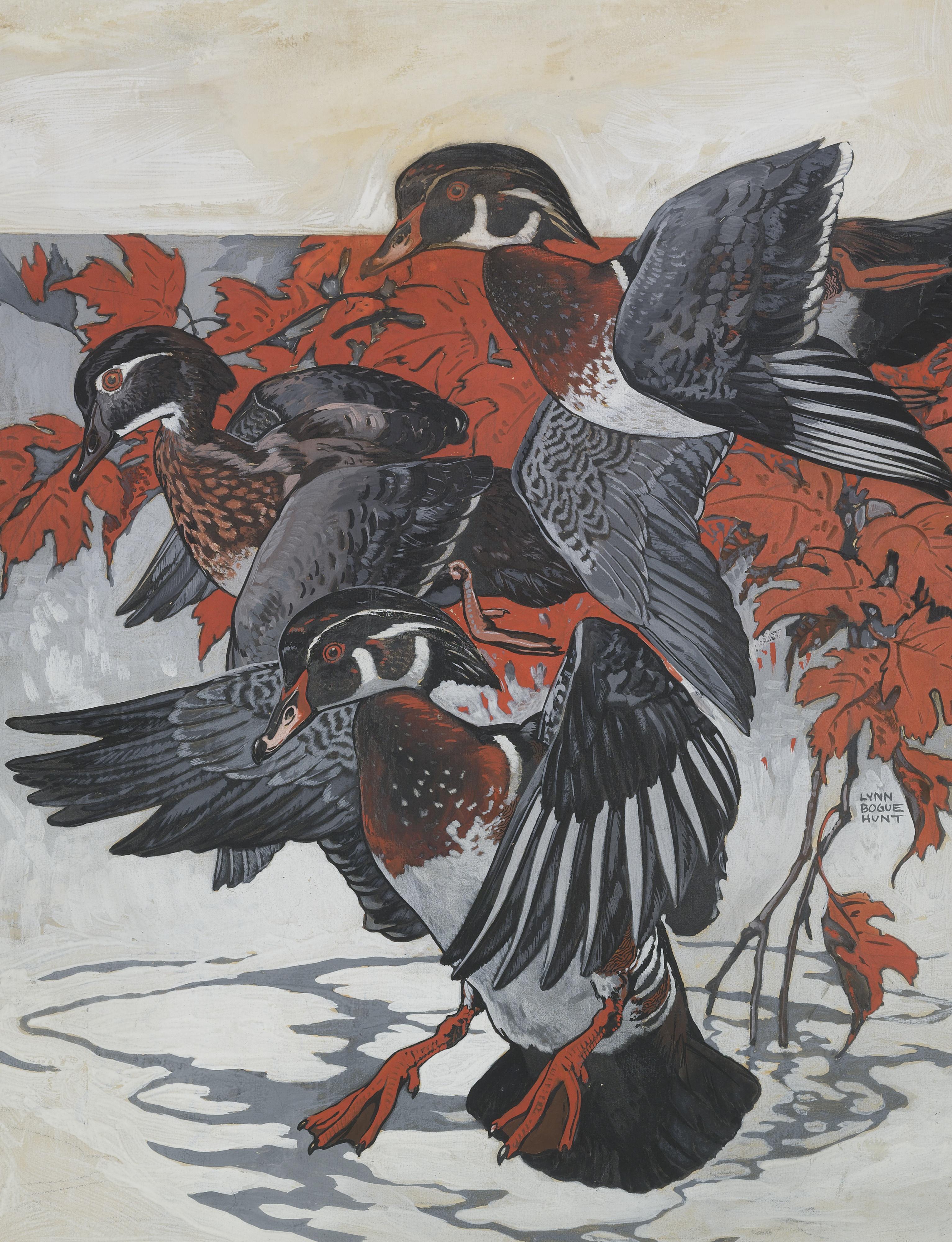 Lynn Bogue Hunt - Soft Landing