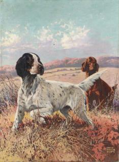 Lynn Bogue Hunt - Two Setters at point