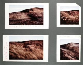 Lynn Foulkes - Sans titre